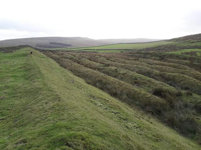 The western banks and ditches